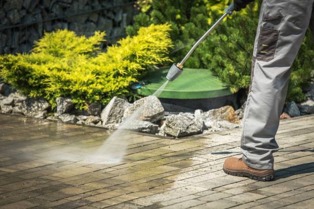 Best Animal Enclosure Cleaning  in Caldwell, OH